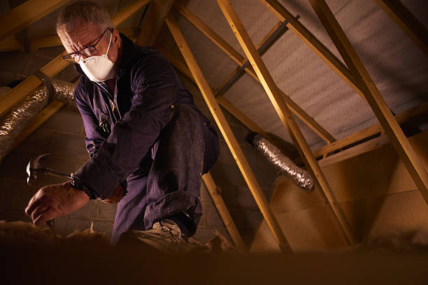 Best Insulation Installation Services in University Park, IL